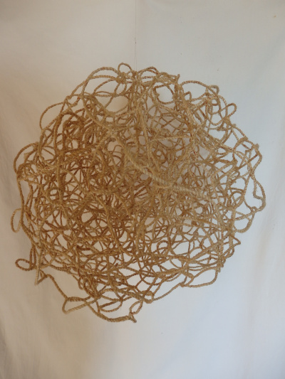 String Web 